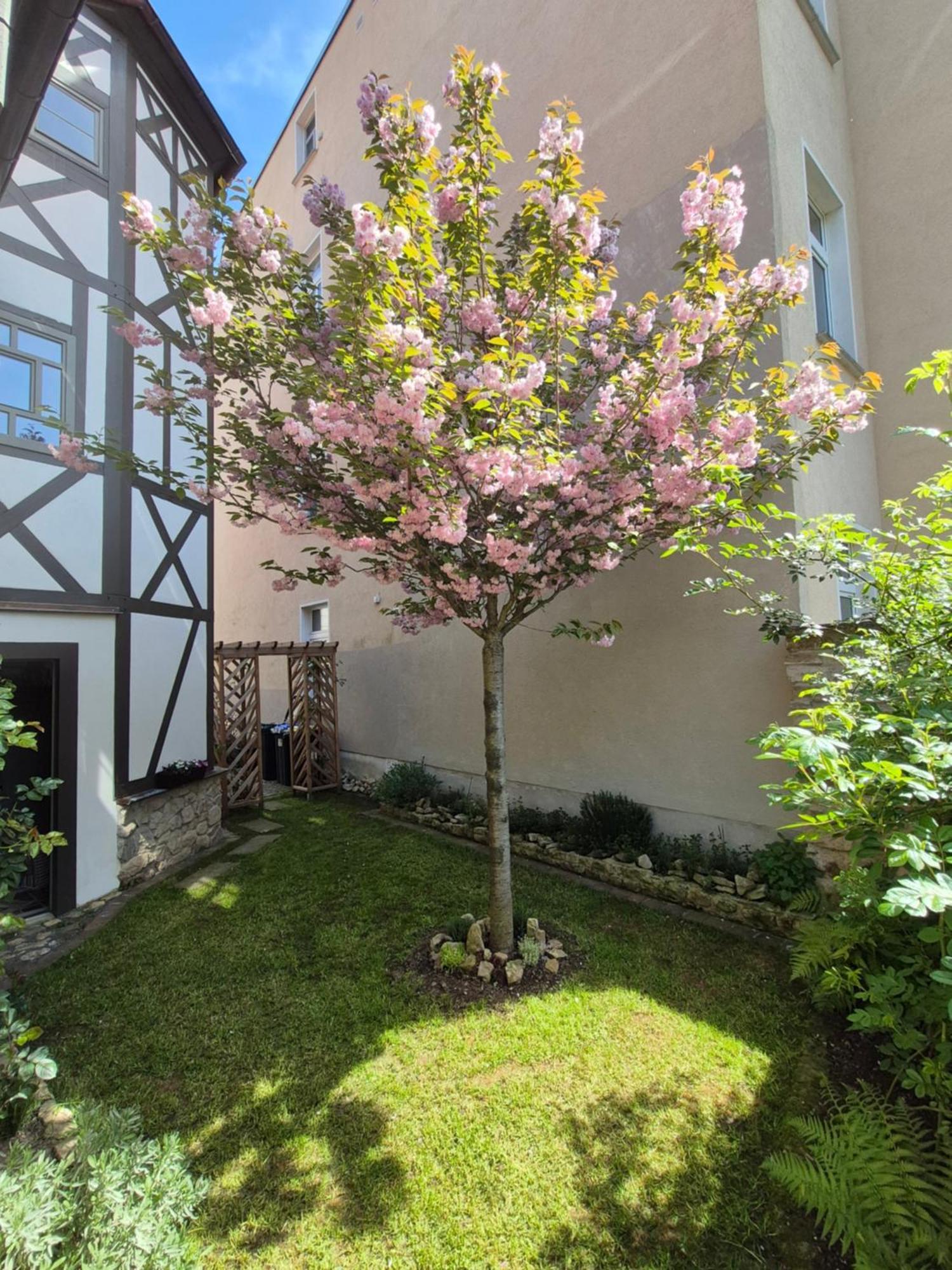 Aussergewoehnliches, Historisches, Spaetgotisches Wohnhaus Von 1519, Gries 5 Gera Zewnętrze zdjęcie